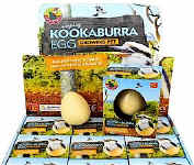 Kookaburra Growing Egg.jpg (32384 bytes)
