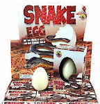 Snake Egg.jpg (29781 bytes)